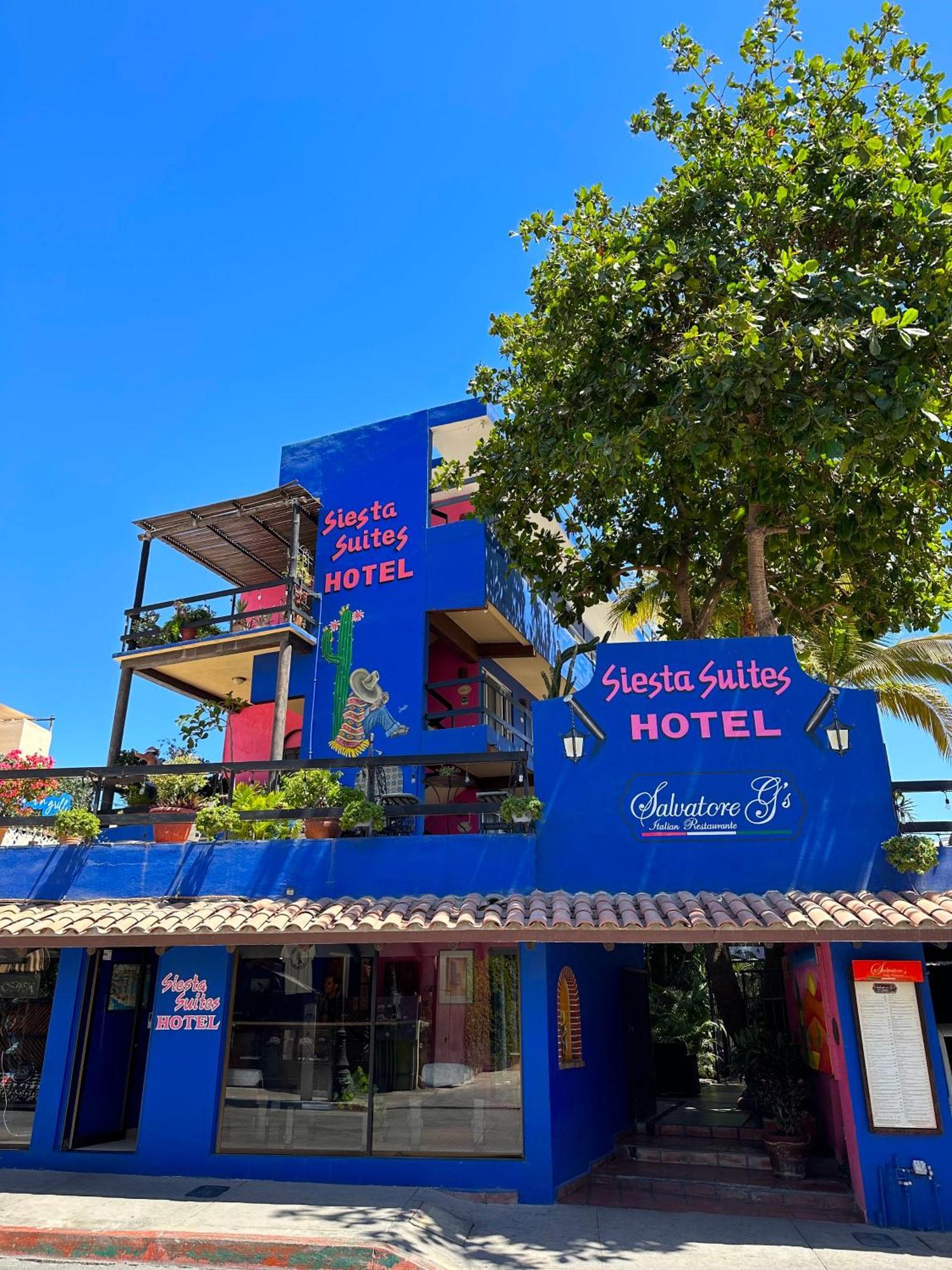 Siesta Suites Boutique Hotel Cabo San Lucas Zewnętrze zdjęcie