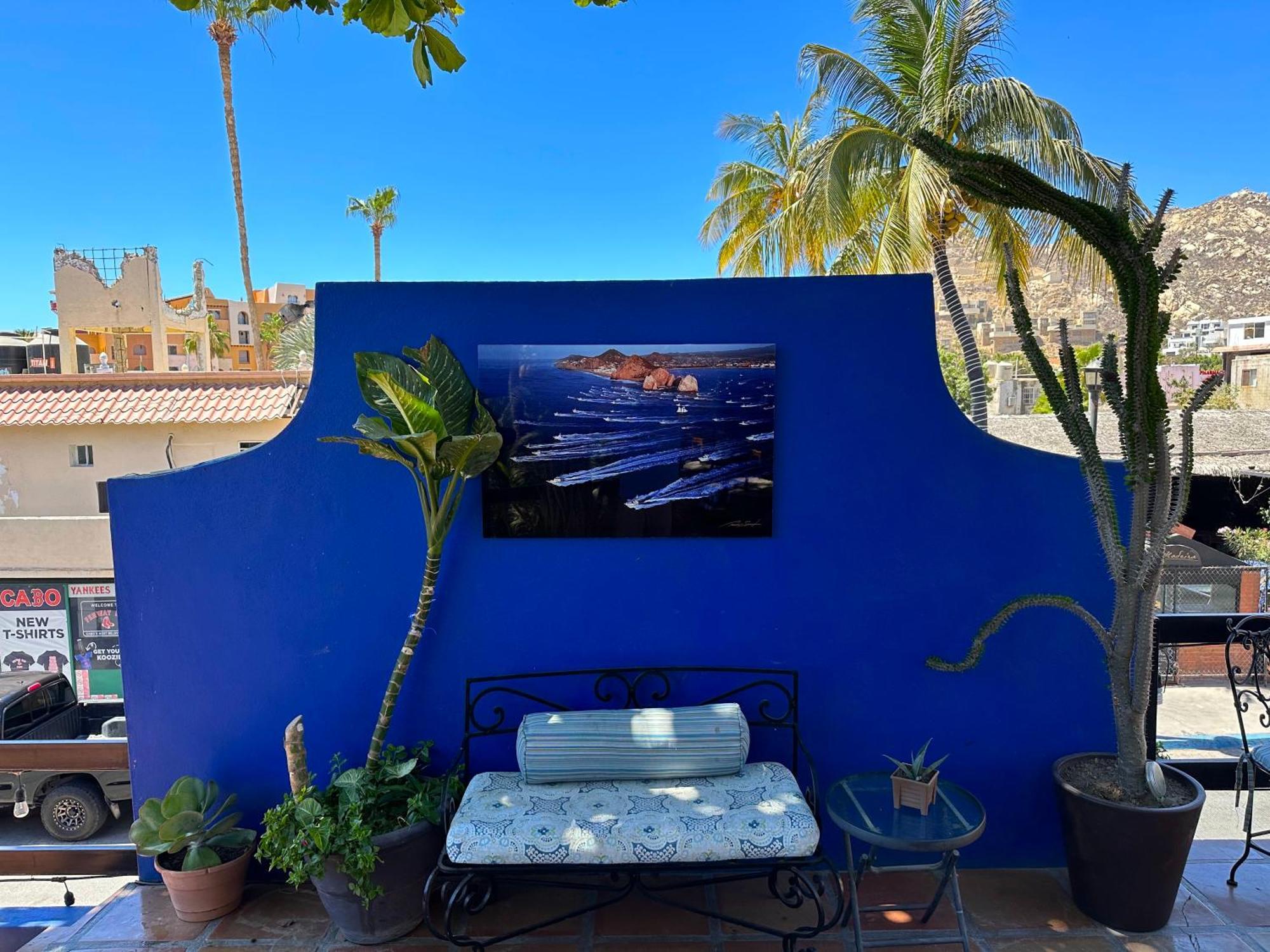 Siesta Suites Boutique Hotel Cabo San Lucas Zewnętrze zdjęcie