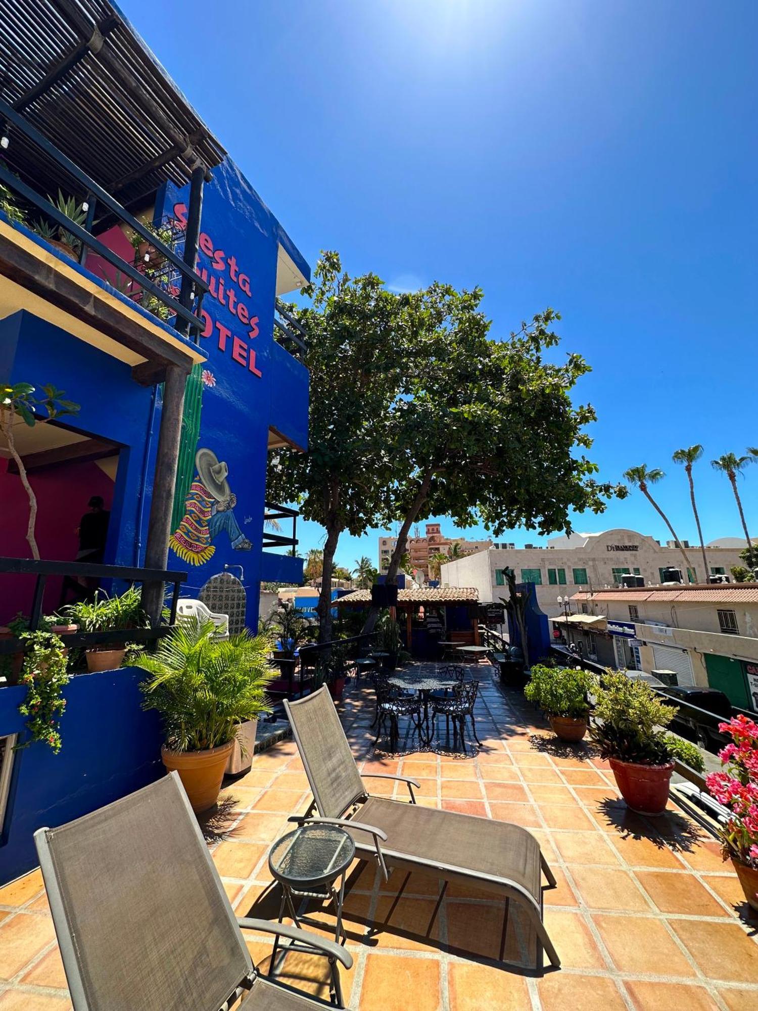 Siesta Suites Boutique Hotel Cabo San Lucas Zewnętrze zdjęcie