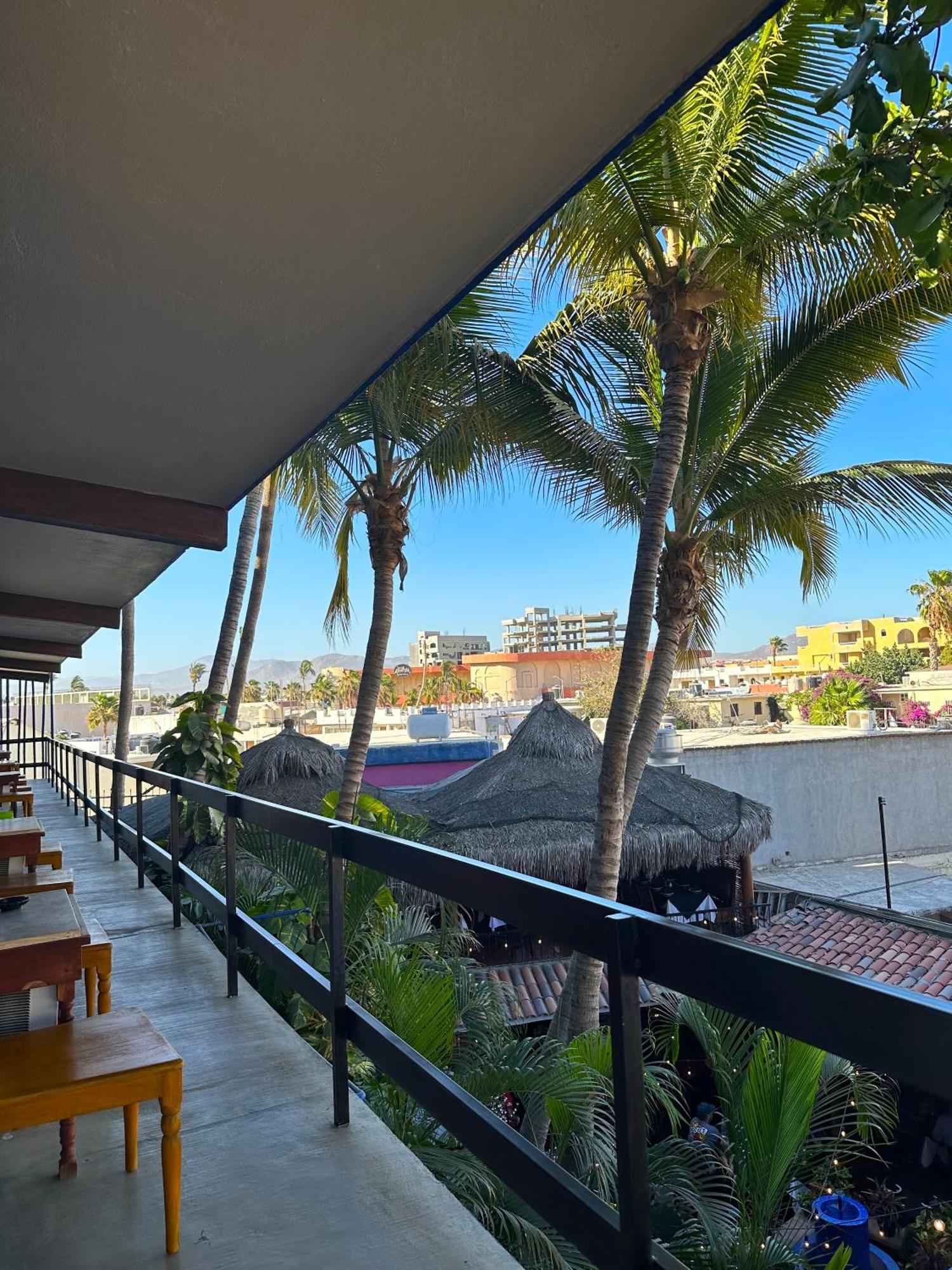 Siesta Suites Boutique Hotel Cabo San Lucas Zewnętrze zdjęcie