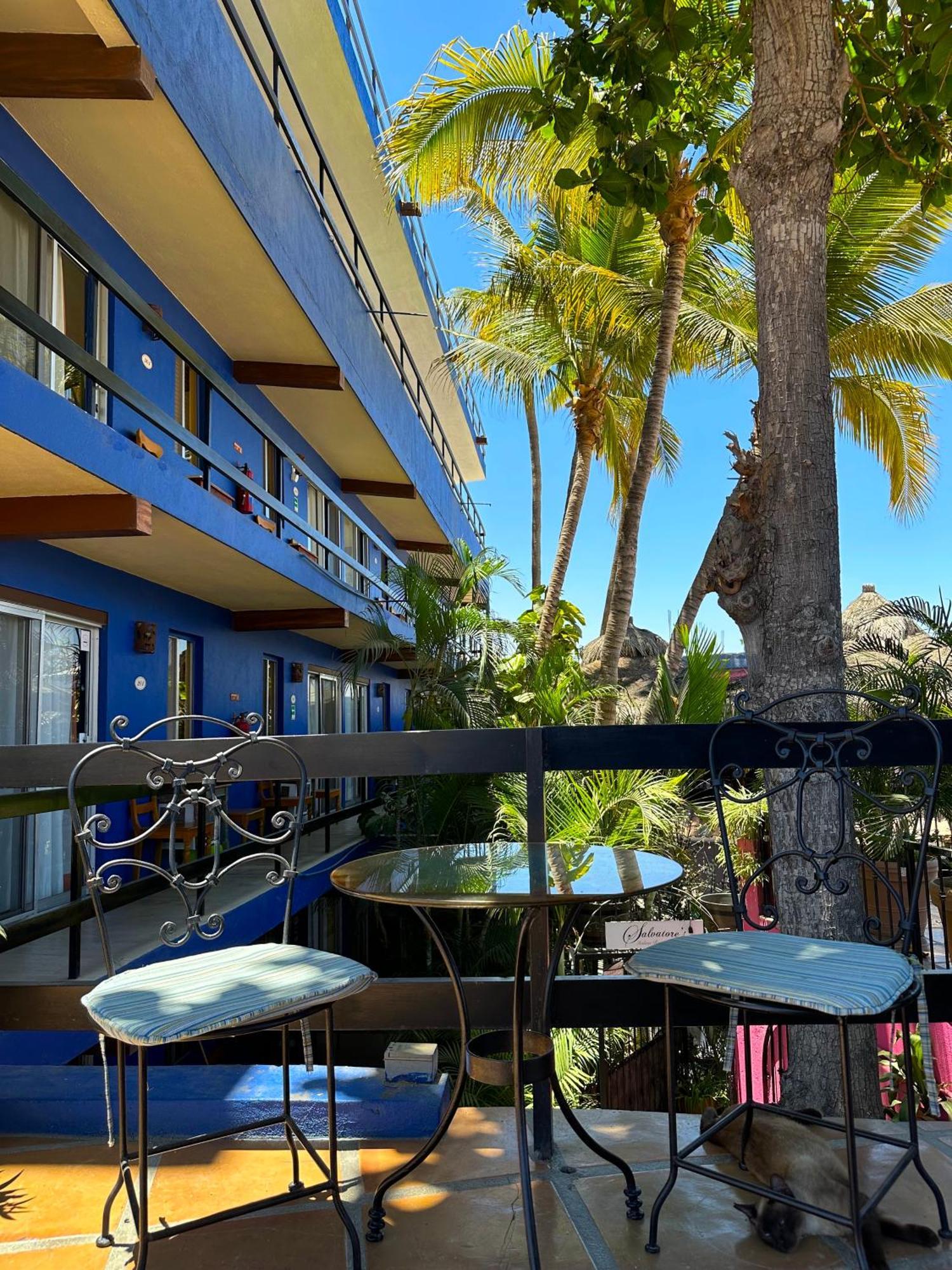 Siesta Suites Boutique Hotel Cabo San Lucas Zewnętrze zdjęcie