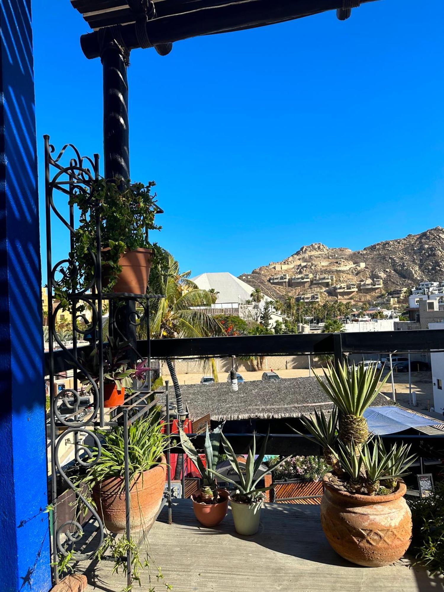 Siesta Suites Boutique Hotel Cabo San Lucas Zewnętrze zdjęcie