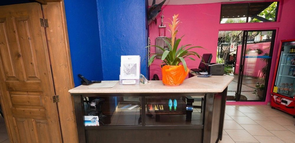 Siesta Suites Boutique Hotel Cabo San Lucas Zewnętrze zdjęcie