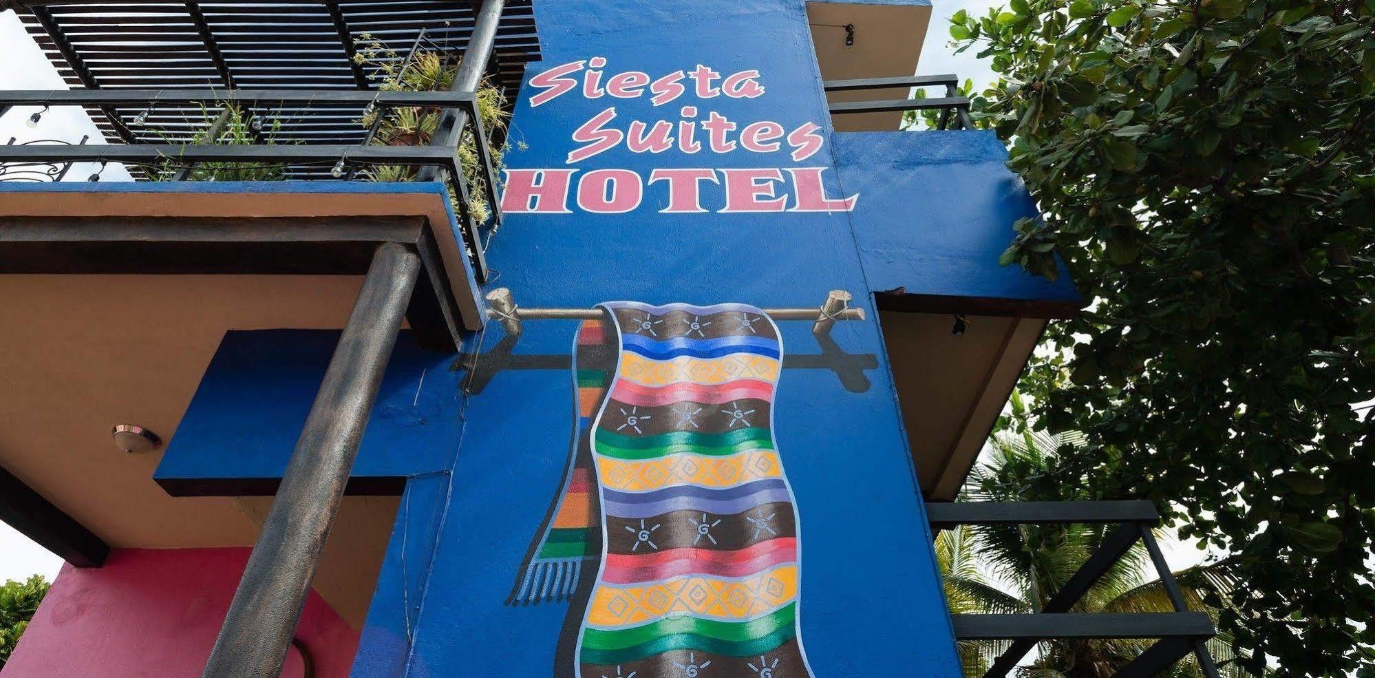 Siesta Suites Boutique Hotel Cabo San Lucas Zewnętrze zdjęcie