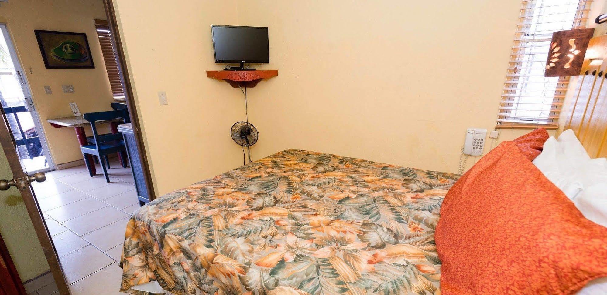 Siesta Suites Boutique Hotel Cabo San Lucas Zewnętrze zdjęcie